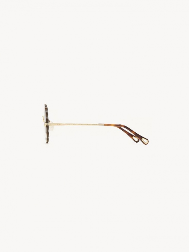 Chloe Rosie Petite Zonnebril Goud Grijs Oranje Geel | CHE-SR14556