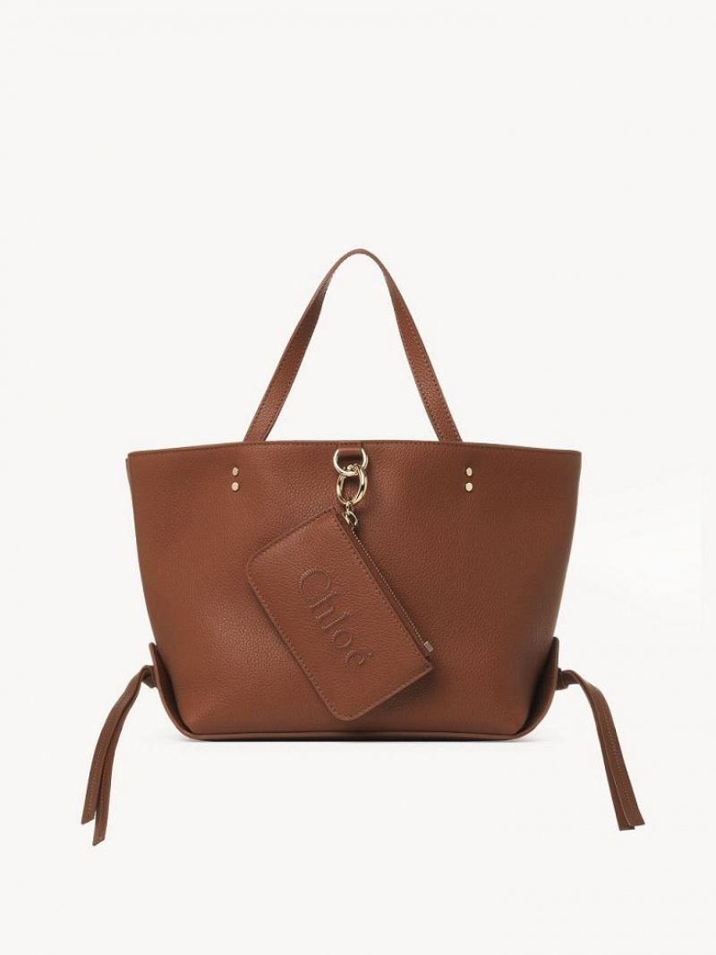 Chloe Sense Small East-west Tote Tassen Bruin | CHE-SR13326
