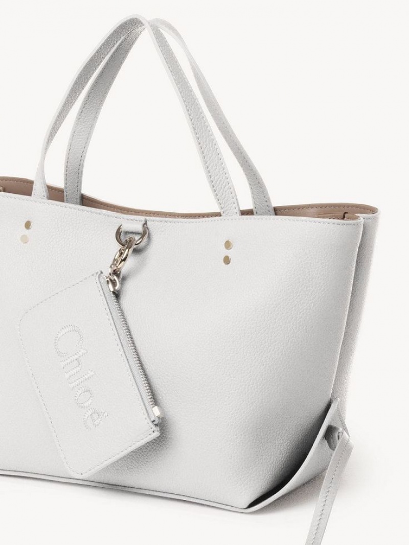 Chloe Sense Small East-west Tote Tassen Wit | CHE-SR13328