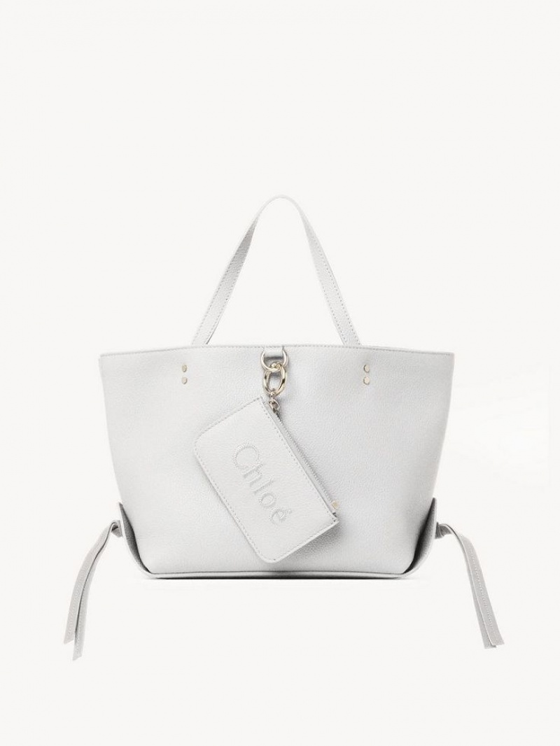 Chloe Sense Small East-west Tote Tassen Wit | CHE-SR13328