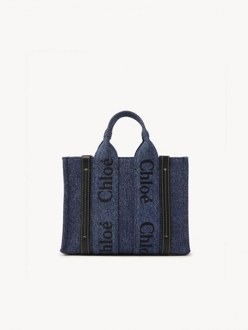 Chloe Small Woody Crossbodytassen Blauw | CHE-SR13515