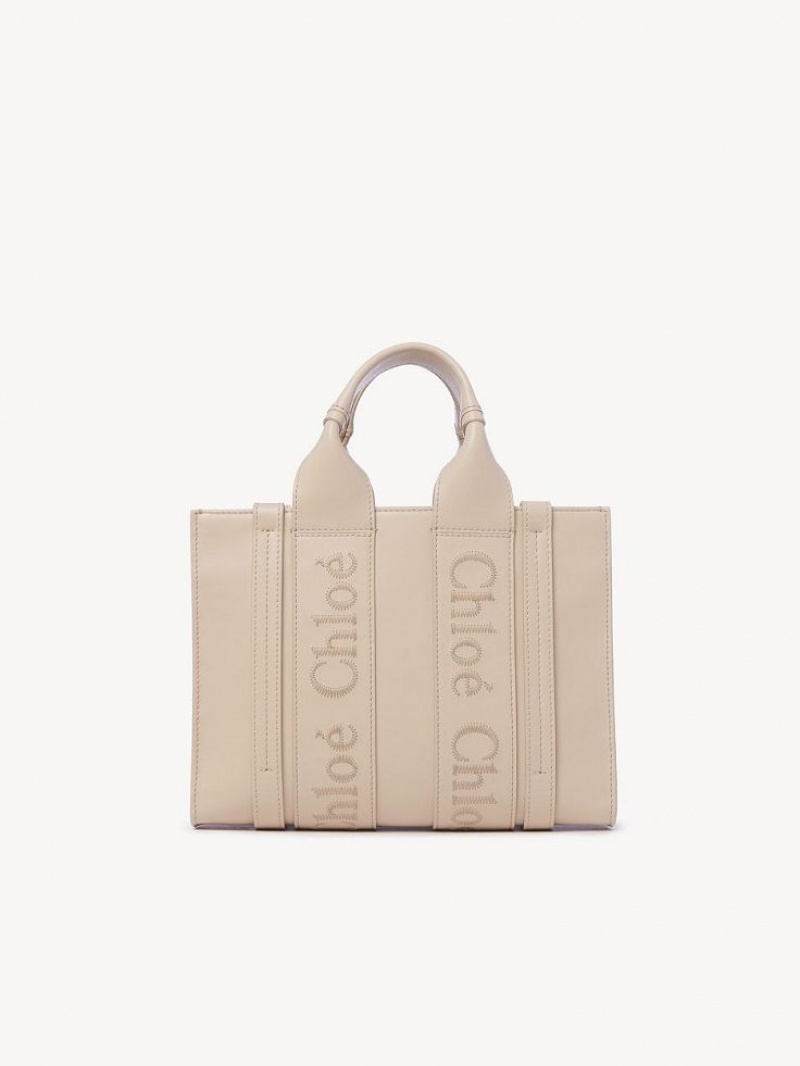 Chloe Small Woody Crossbodytassen Roze | CHE-SR13556