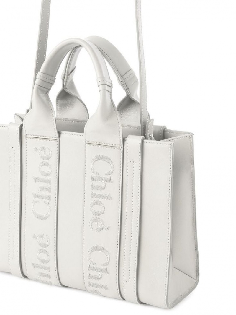 Chloe Small Woody Crossbodytassen Wit | CHE-SR13541
