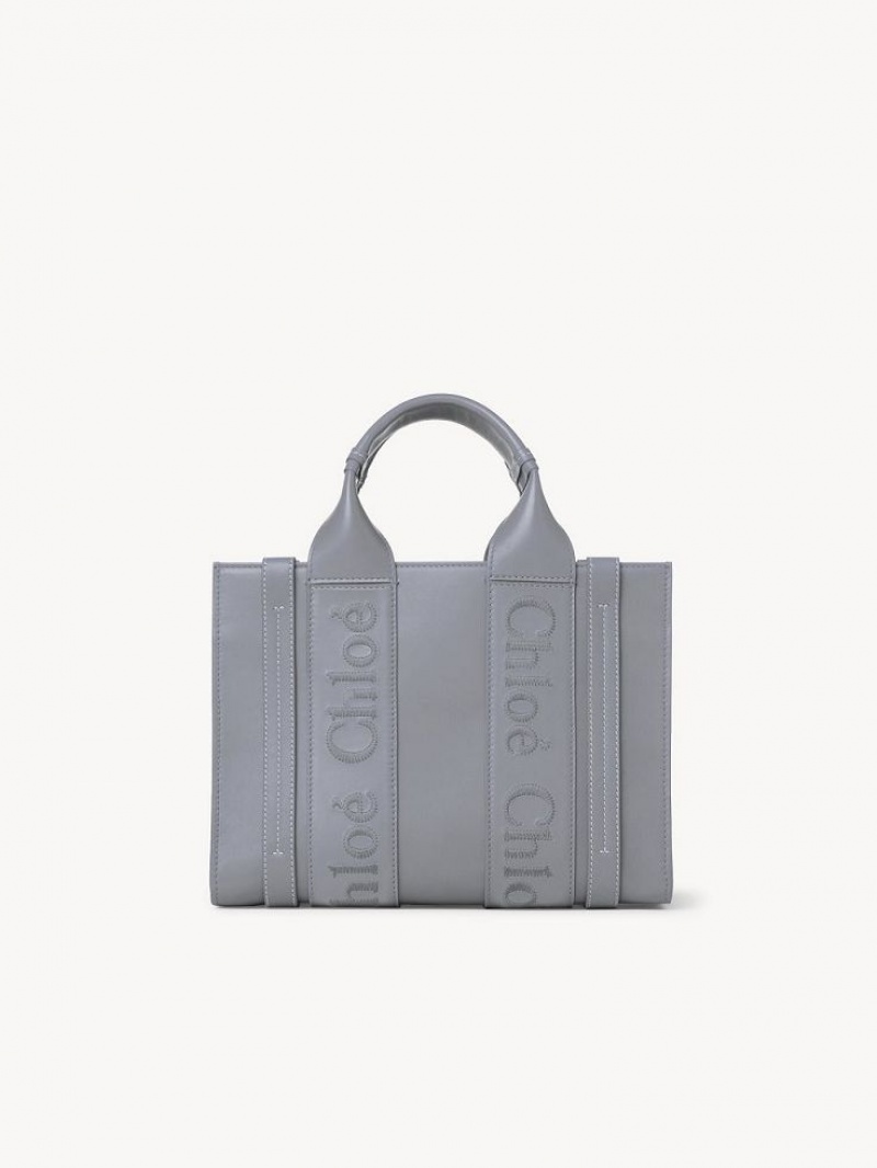 Chloe Small Woody Tote Tassen Blauw | CHE-SR13322