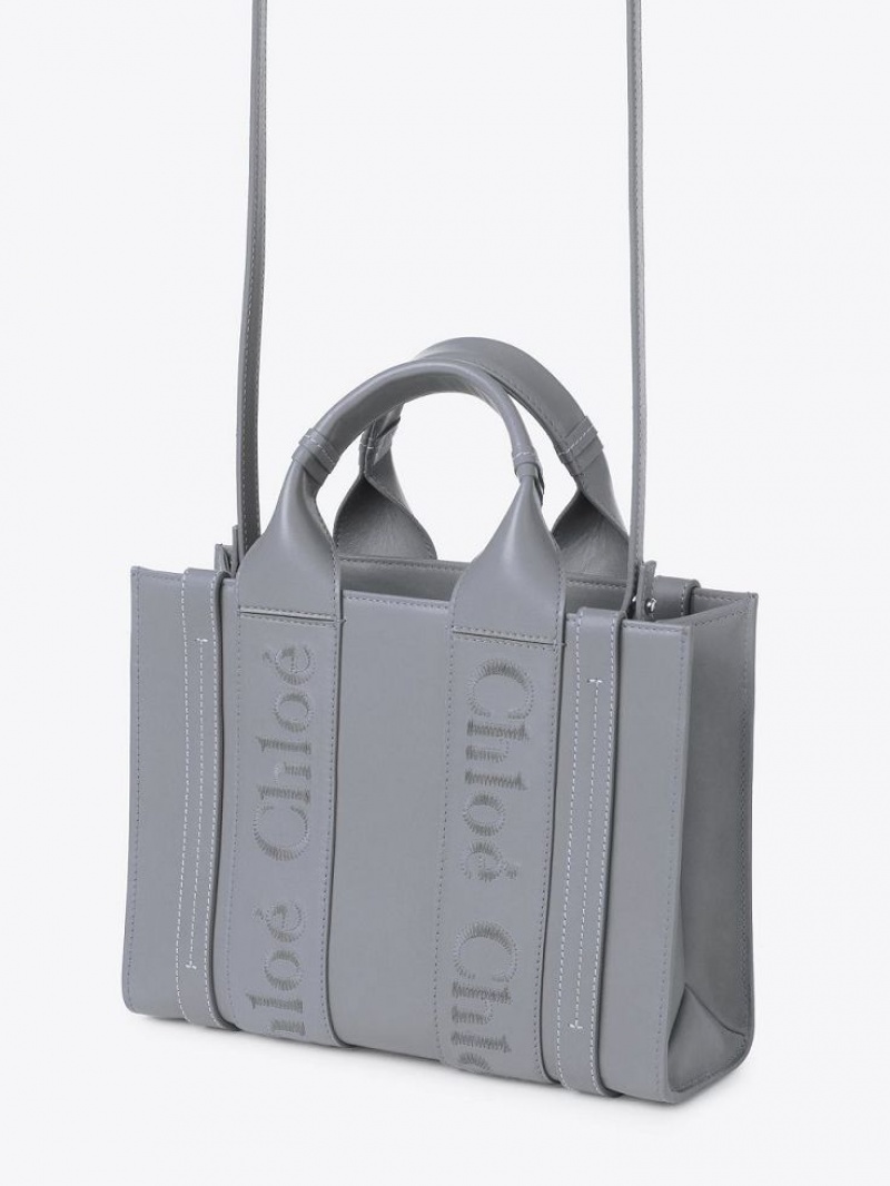 Chloe Small Woody Tote Tassen Blauw | CHE-SR13322