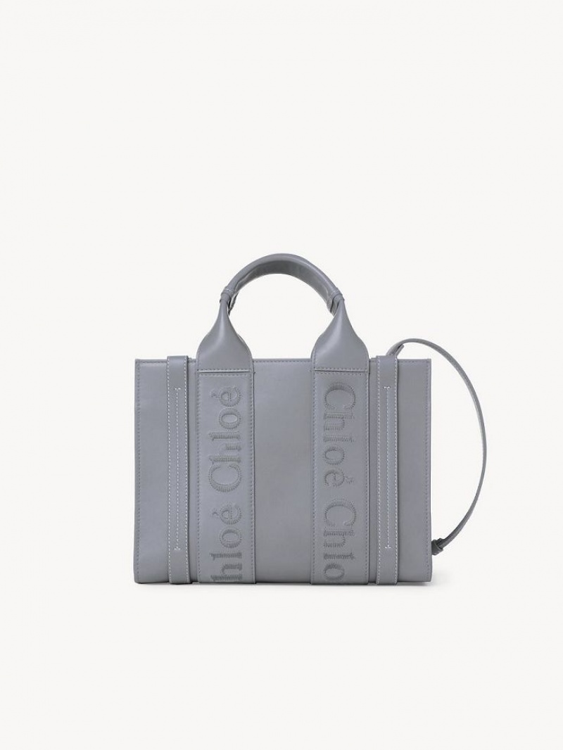 Chloe Small Woody Tote Tassen Blauw | CHE-SR13322