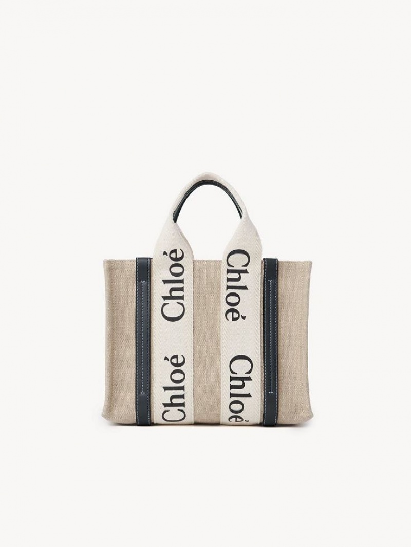 Chloe Small Woody Tote Tassen Wit Blauw | CHE-SR13366