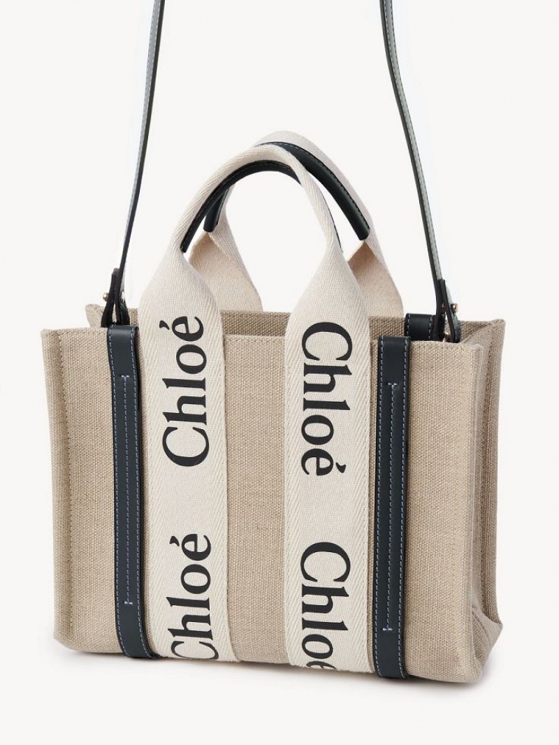 Chloe Small Woody Tote Tassen Wit Blauw | CHE-SR13366