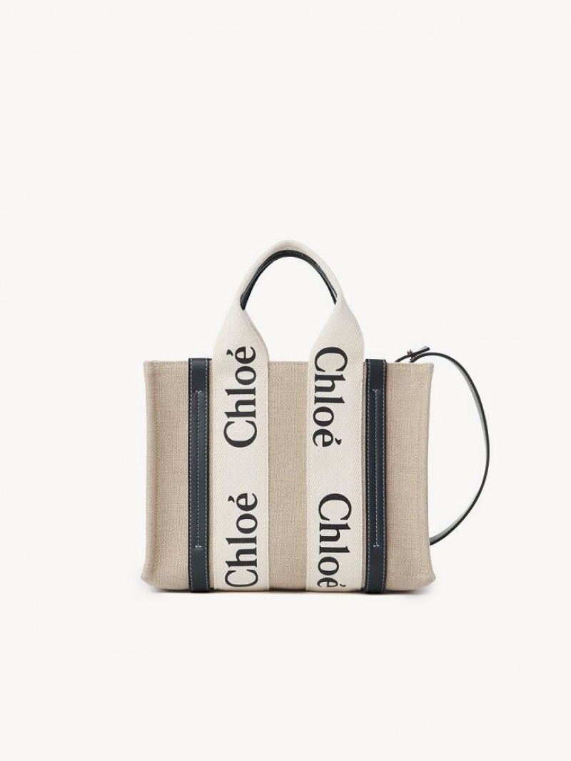 Chloe Small Woody Tote Tassen Wit Blauw | CHE-SR13366