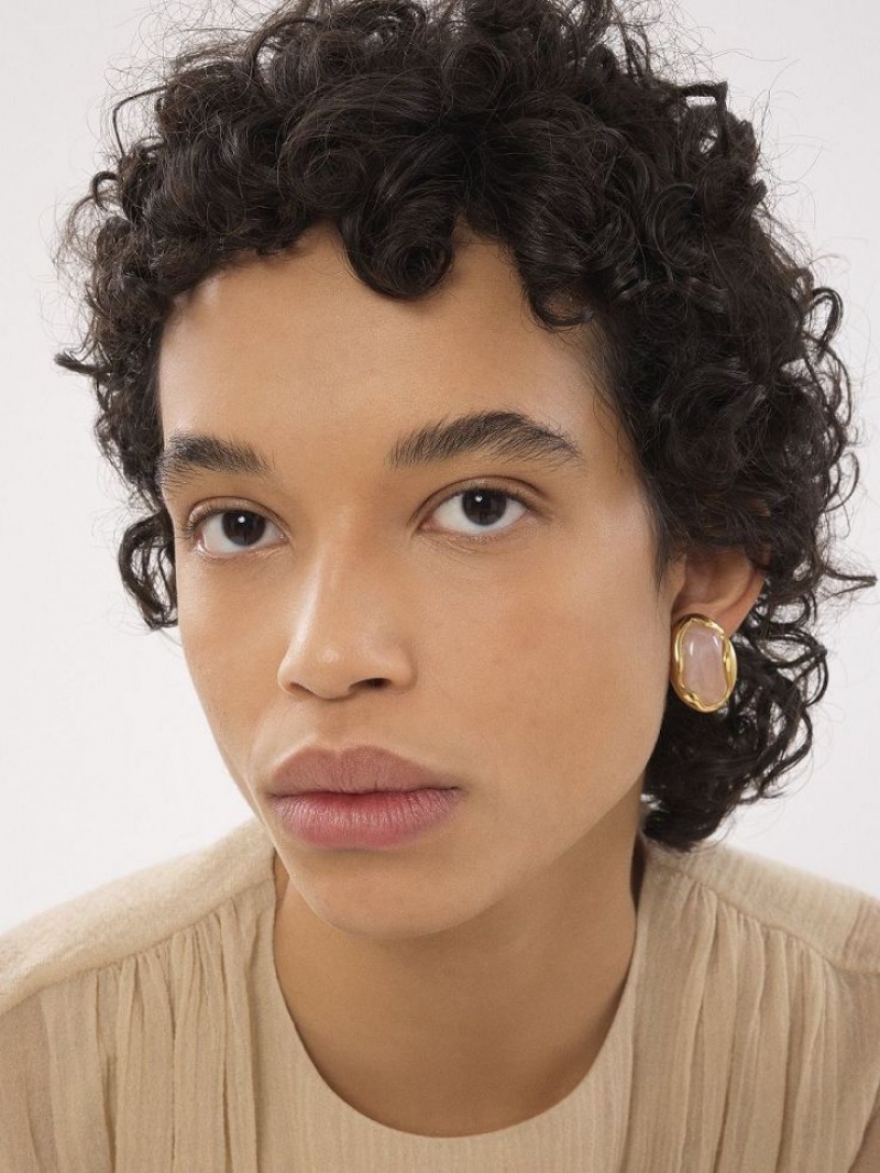 Chloe Sybil Oorbellen Lichtgoud | CHE-SR14457