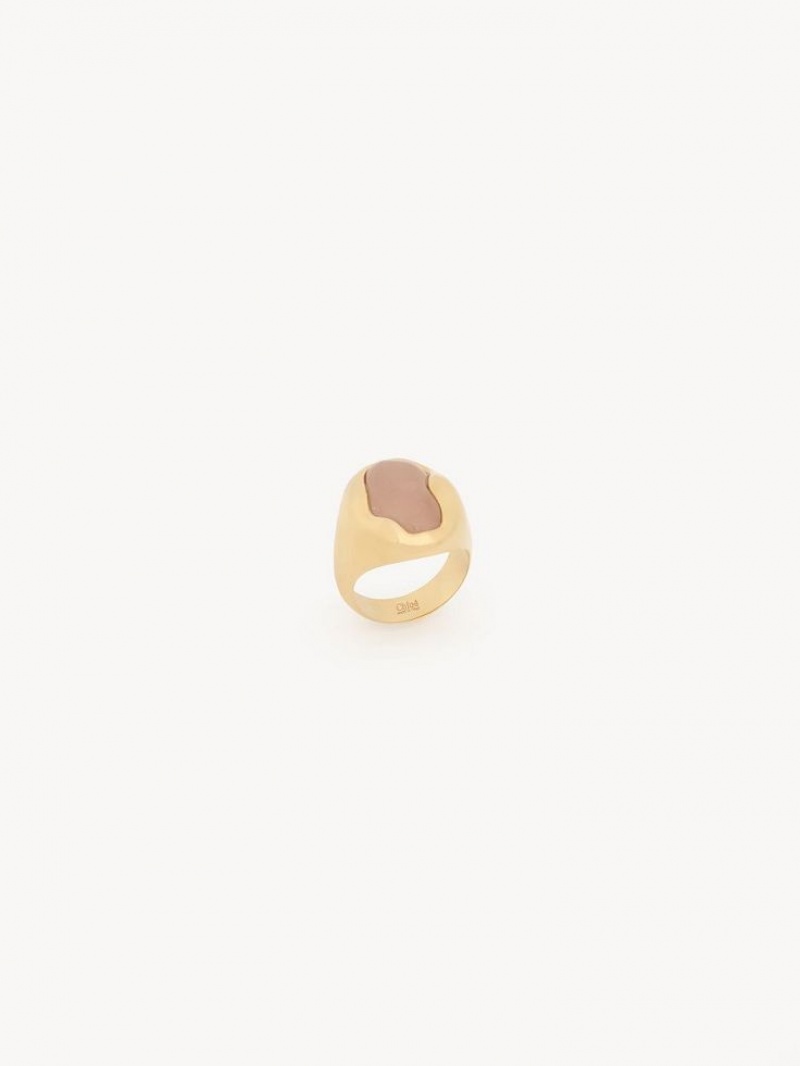 Chloe Sybil Ringen Lichtgoud | CHE-SR14449