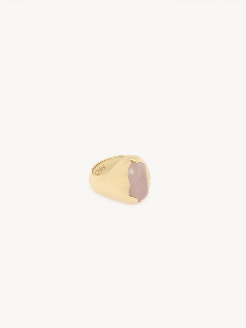 Chloe Sybil Ringen Lichtgoud | CHE-SR14449