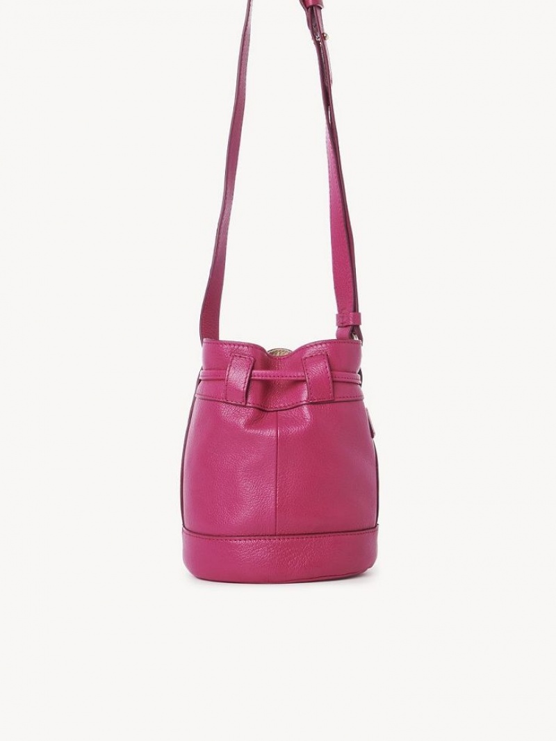 Chloe Vicki Small Bucket Mini Tassen Roze | CHE-SR14746