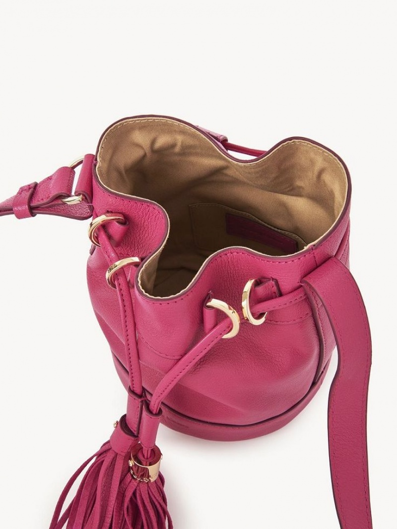 Chloe Vicki Small Bucket Mini Tassen Roze | CHE-SR14746