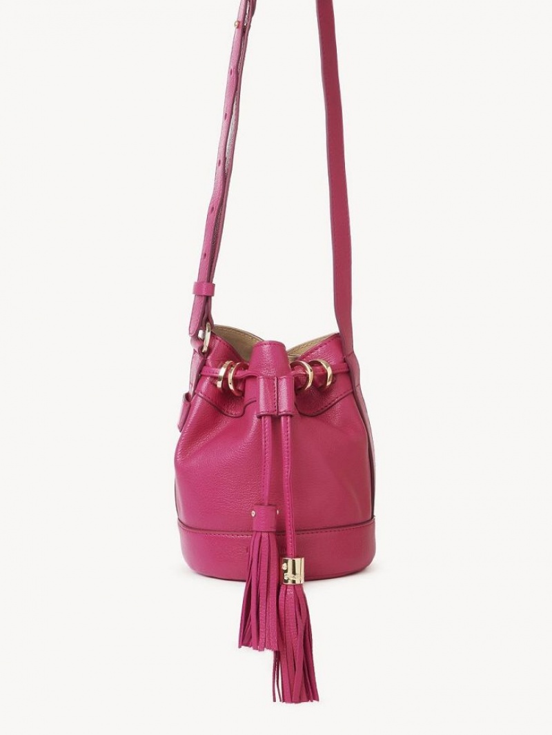 Chloe Vicki Small Bucket Mini Tassen Roze | CHE-SR14746