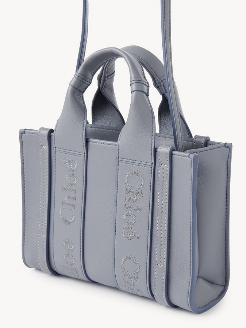 Chloe Woody Tote 1 Mini Tassen Blauw | CHE-SR13729