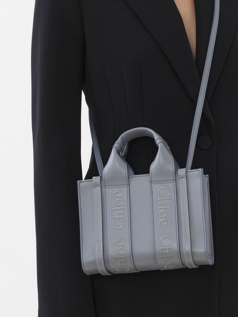Chloe Woody Tote 1 Mini Tassen Blauw | CHE-SR13729