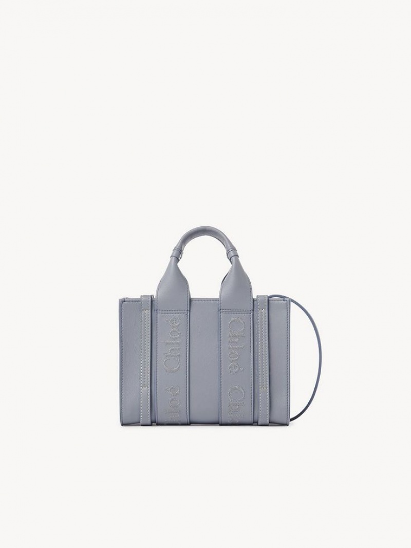 Chloe Woody Tote 1 Mini Tassen Blauw | CHE-SR13729