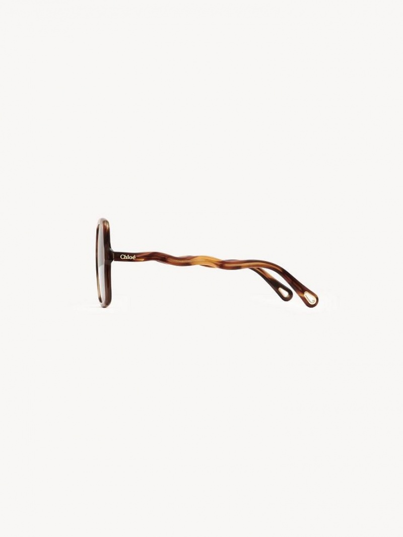 Chloe Zelie Zonnebril Bruin | CHE-SR14515