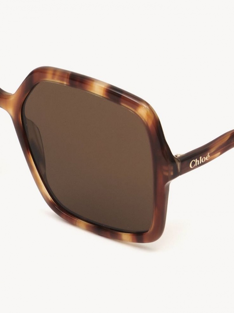 Chloe Zelie Zonnebril Bruin | CHE-SR14515