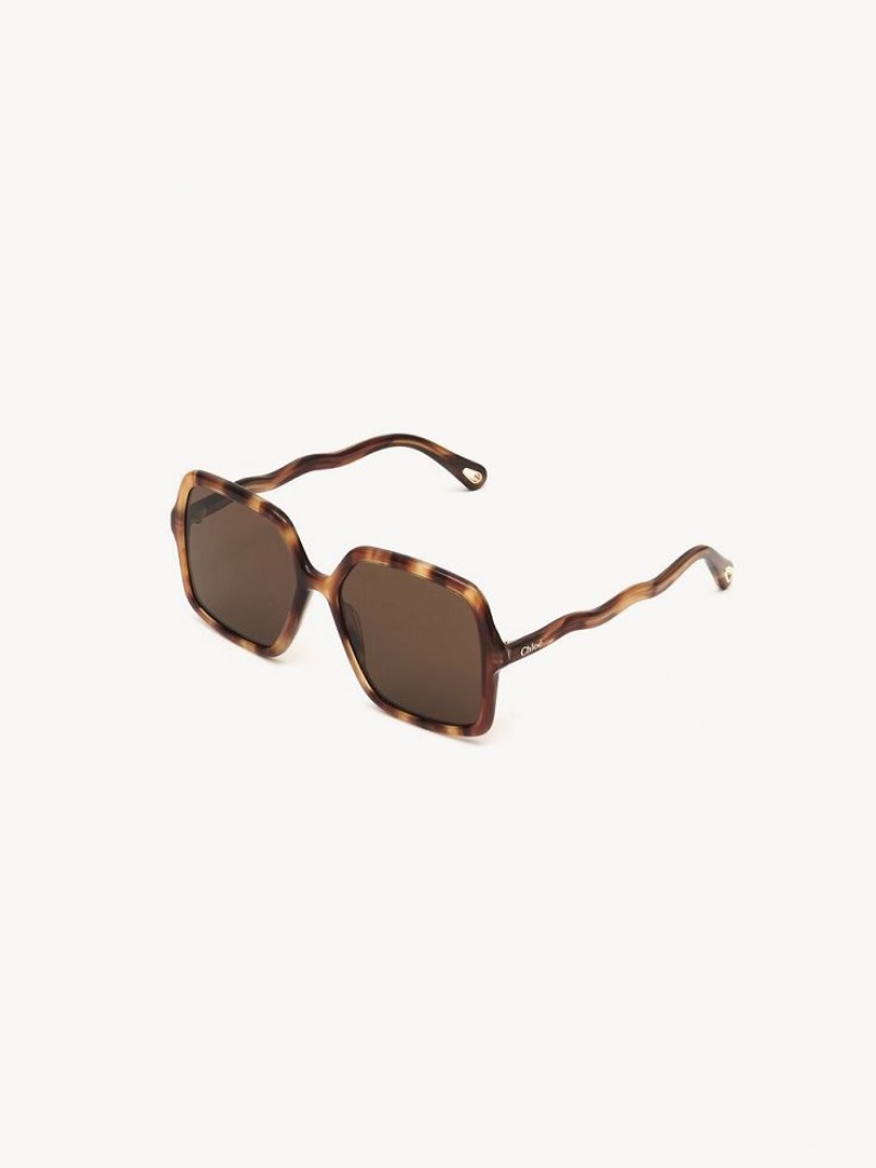 Chloe Zelie Zonnebril Bruin | CHE-SR14515