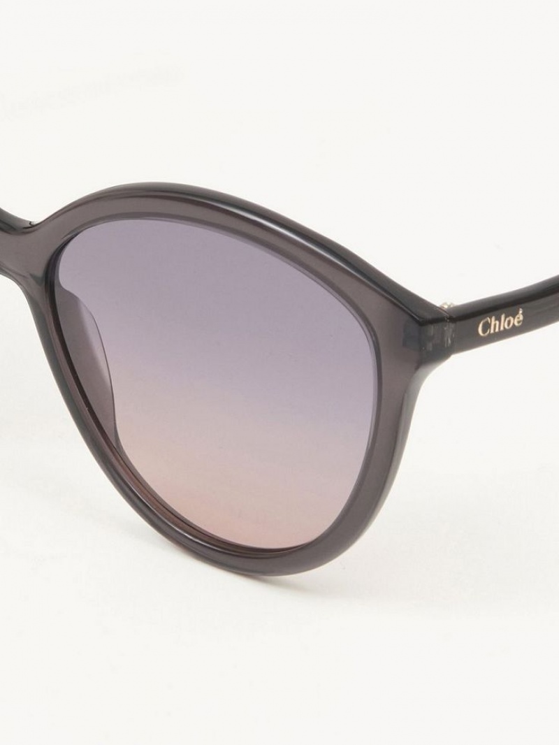 Chloe Zelie Zonnebril Grijs | CHE-SR14557