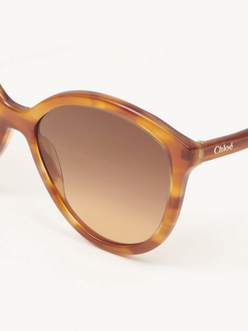 Chloe Zelie Zonnebril Licht | CHE-SR14558