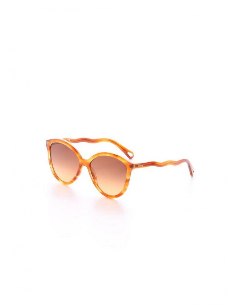 Chloe Zelie Zonnebril Licht | CHE-SR14558