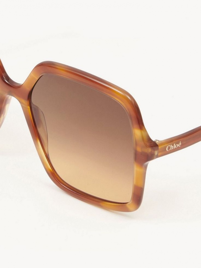 Chloe Zelie Zonnebril Licht | CHE-SR14562