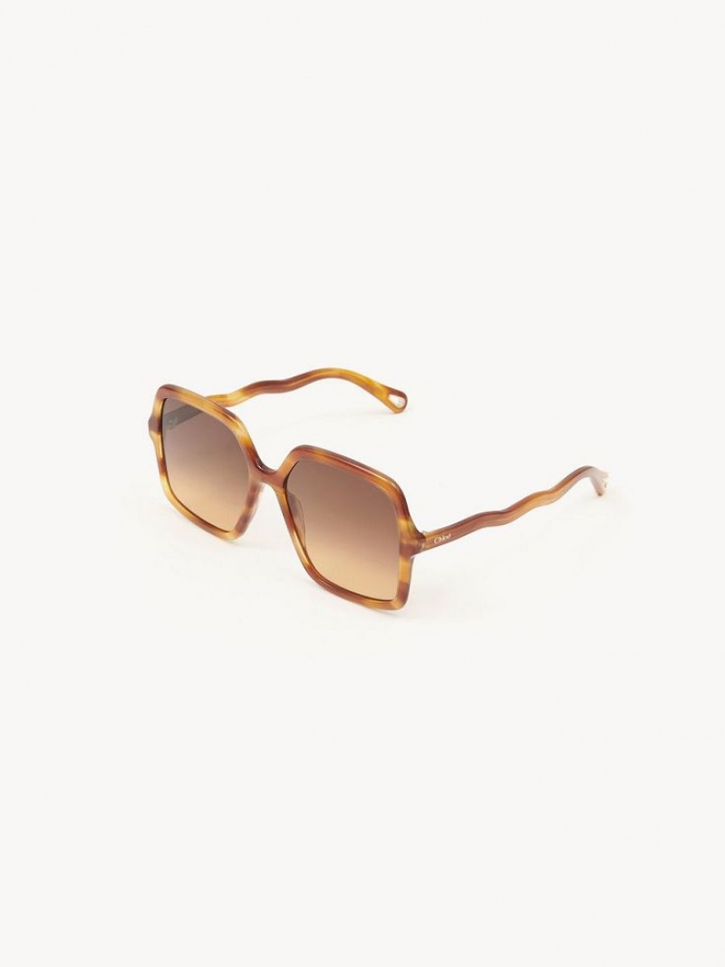Chloe Zelie Zonnebril Licht | CHE-SR14562