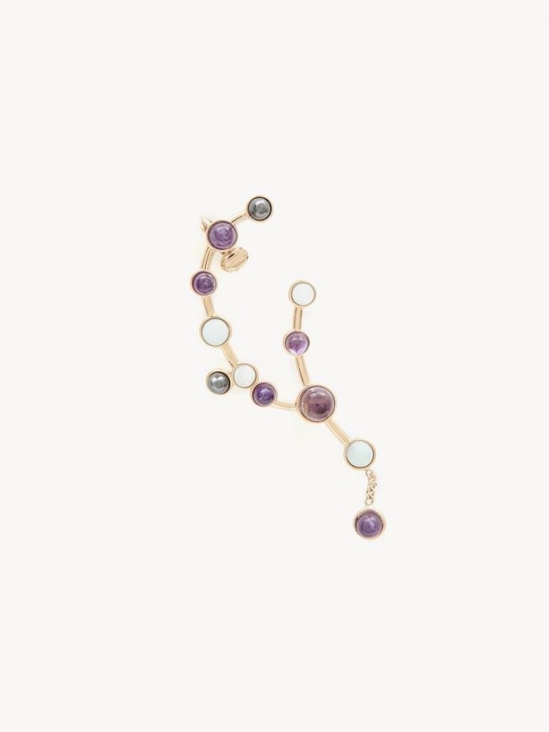 Chloe Zodiac Aquarius Oorbellen Gekleurd | CHE-SR14404