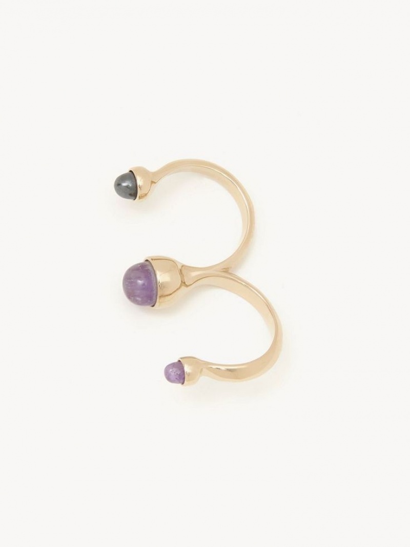 Chloe Zodiac Aquarius Ringen Gekleurd | CHE-SR14374