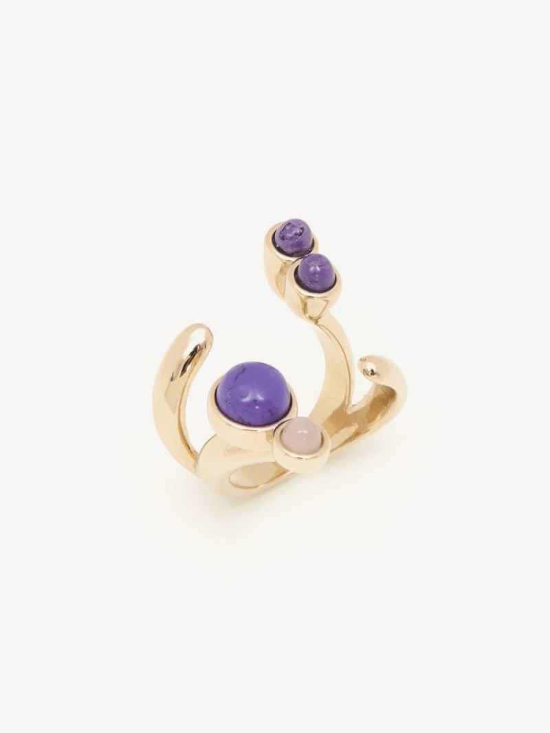 Chloe Zodiac Capricorn Ringen Gekleurd | CHE-SR14371
