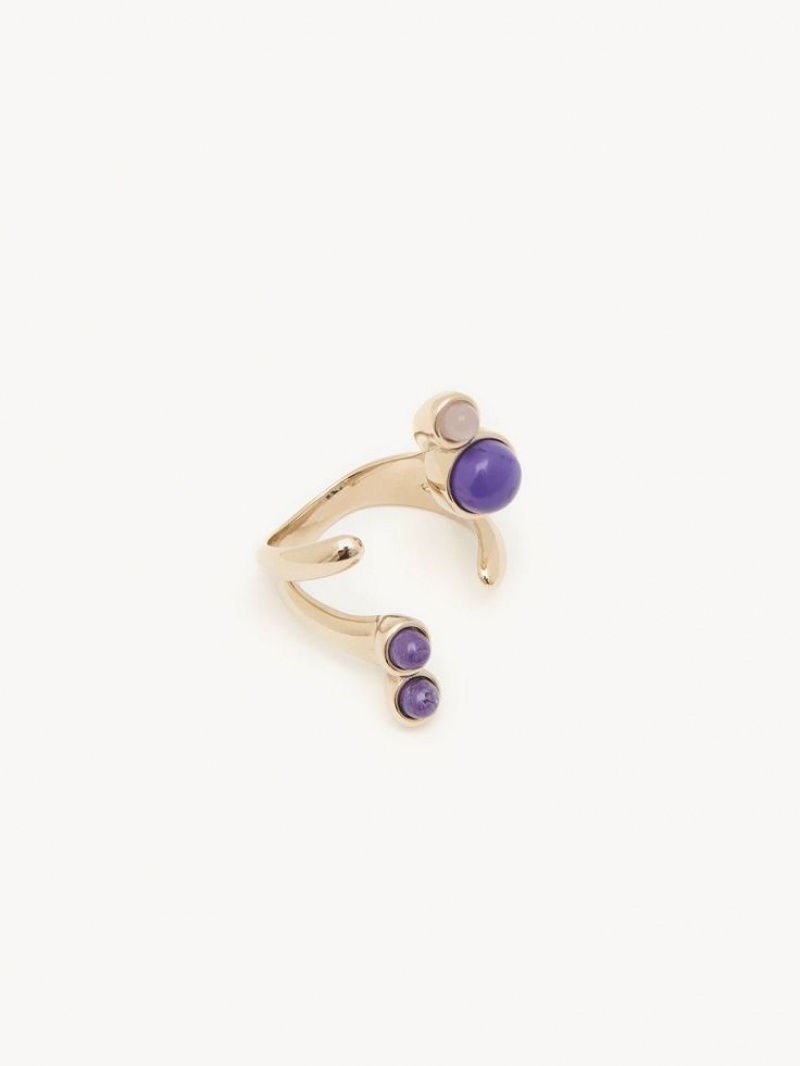 Chloe Zodiac Capricorn Ringen Gekleurd | CHE-SR14371