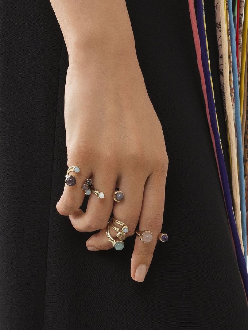 Chloe Zodiac Capricorn Ringen Gekleurd | CHE-SR14389