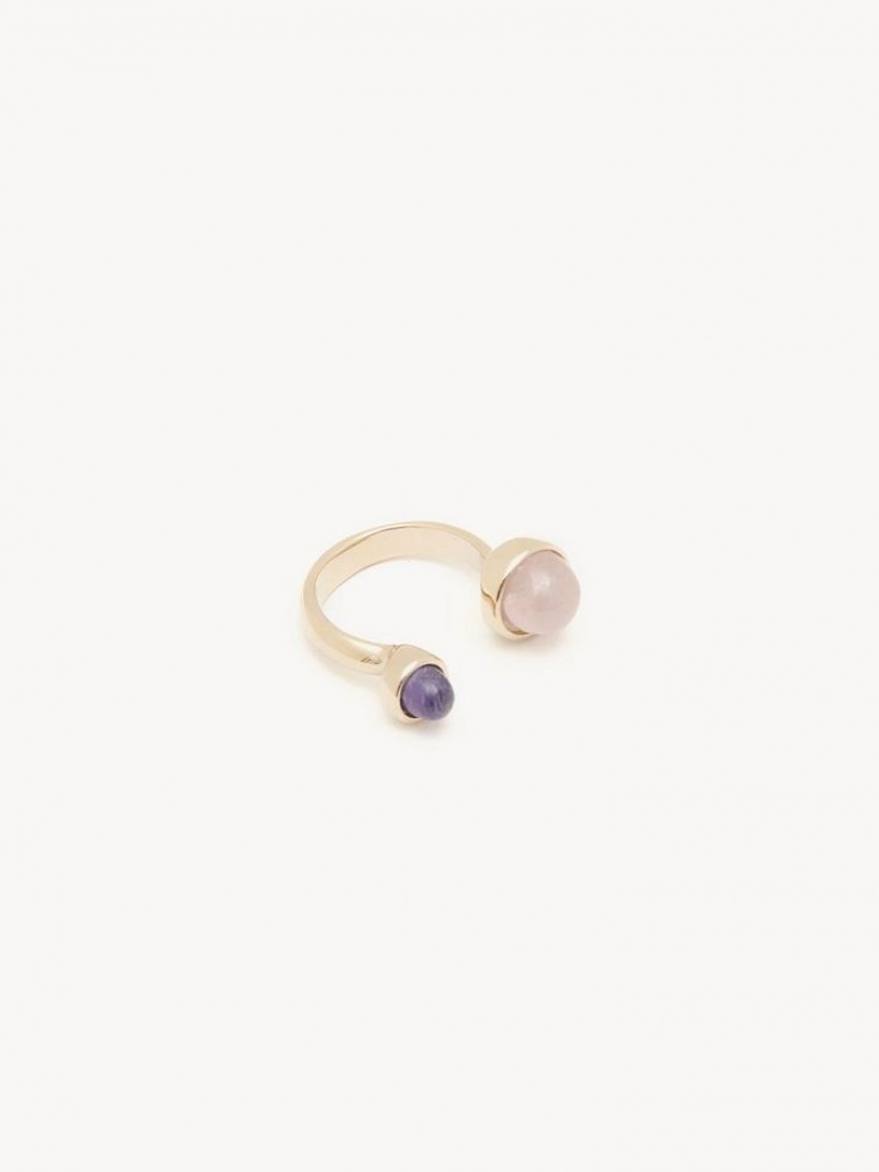 Chloe Zodiac Capricorn Ringen Gekleurd | CHE-SR14389