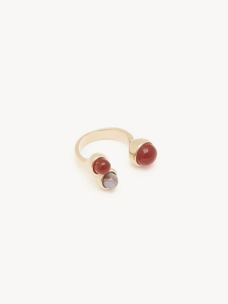 Chloe Zodiac Leo Ringen Gekleurd | CHE-SR14378
