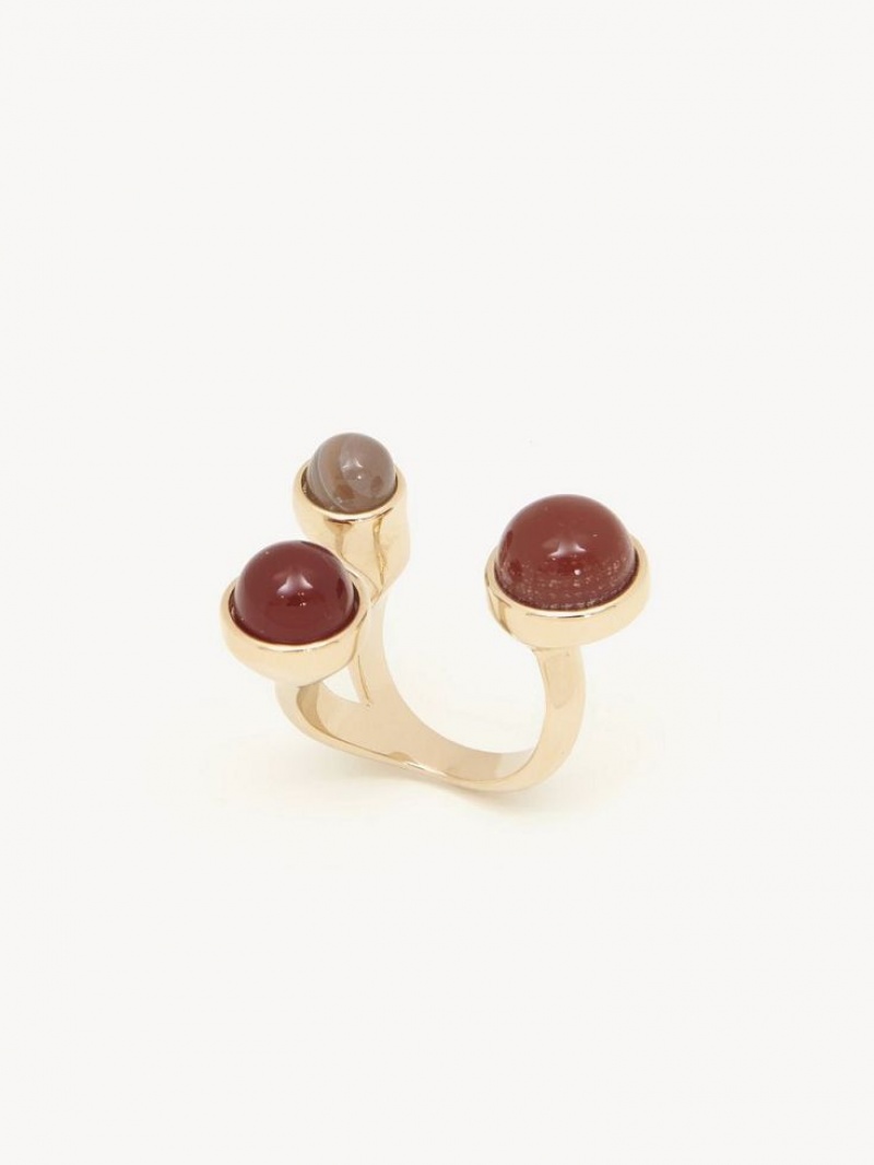 Chloe Zodiac Leo Ringen Gekleurd | CHE-SR14380