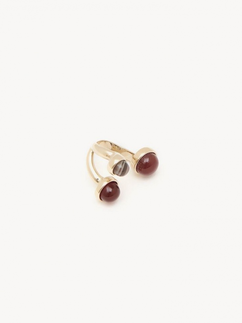Chloe Zodiac Leo Ringen Gekleurd | CHE-SR14380