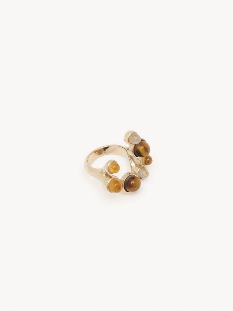 Chloe Zodiac Scorpio Ringen Gekleurd | CHE-SR14373