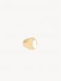 Goud Wit
